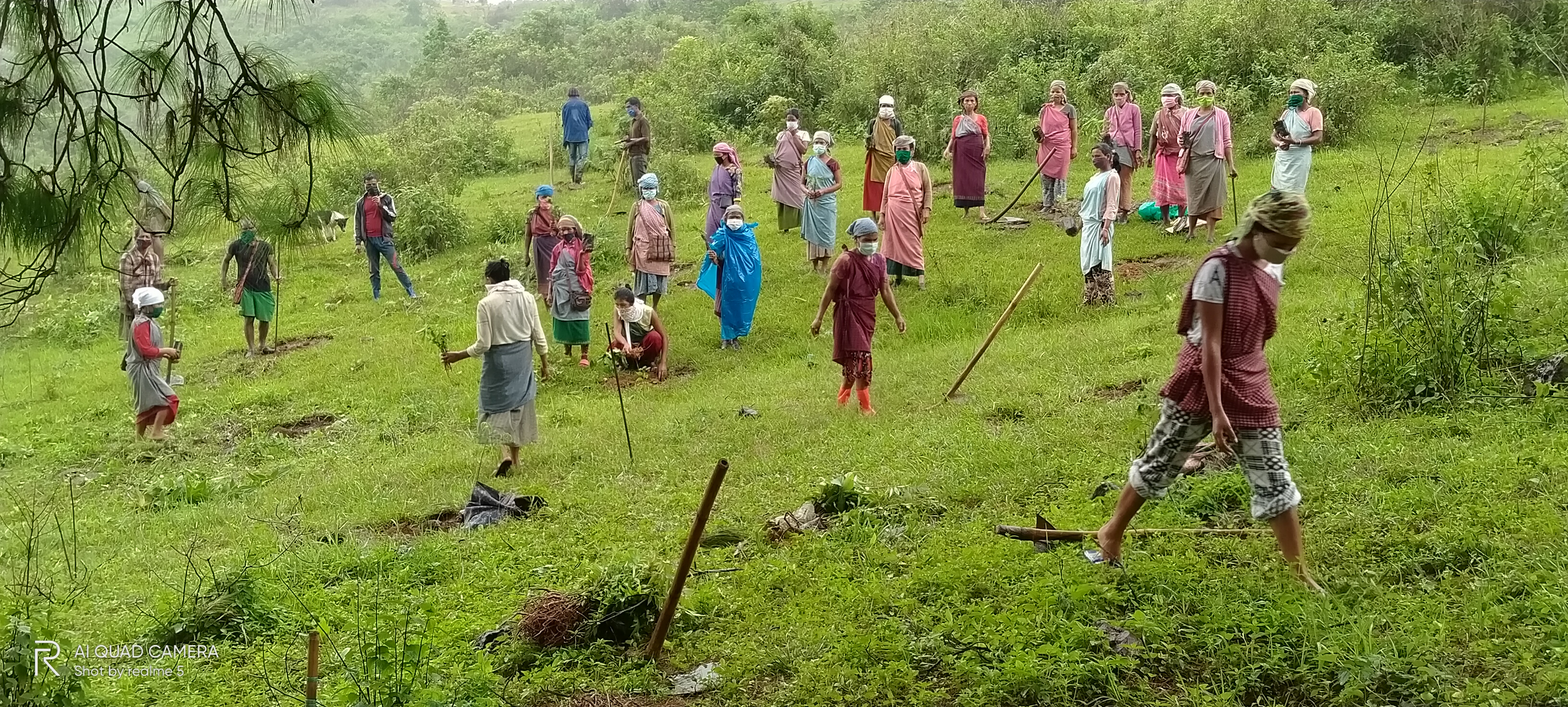 Restoration of degraded forest areas